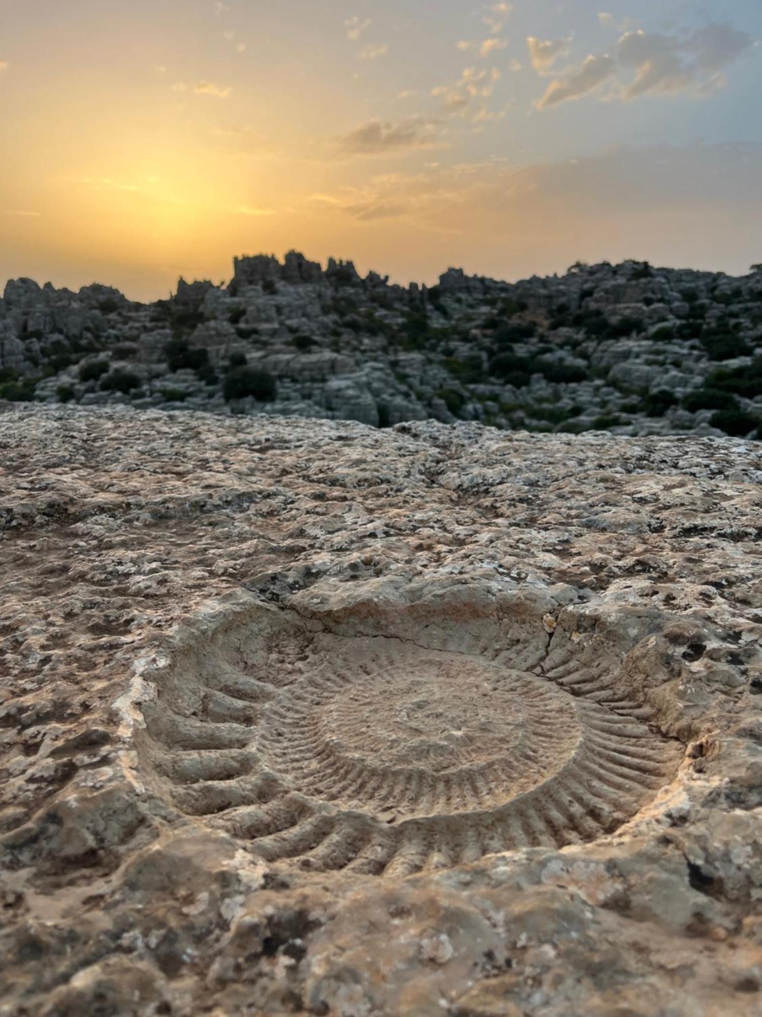 Casa Torre Hacho Villa Antequera Kültér fotó